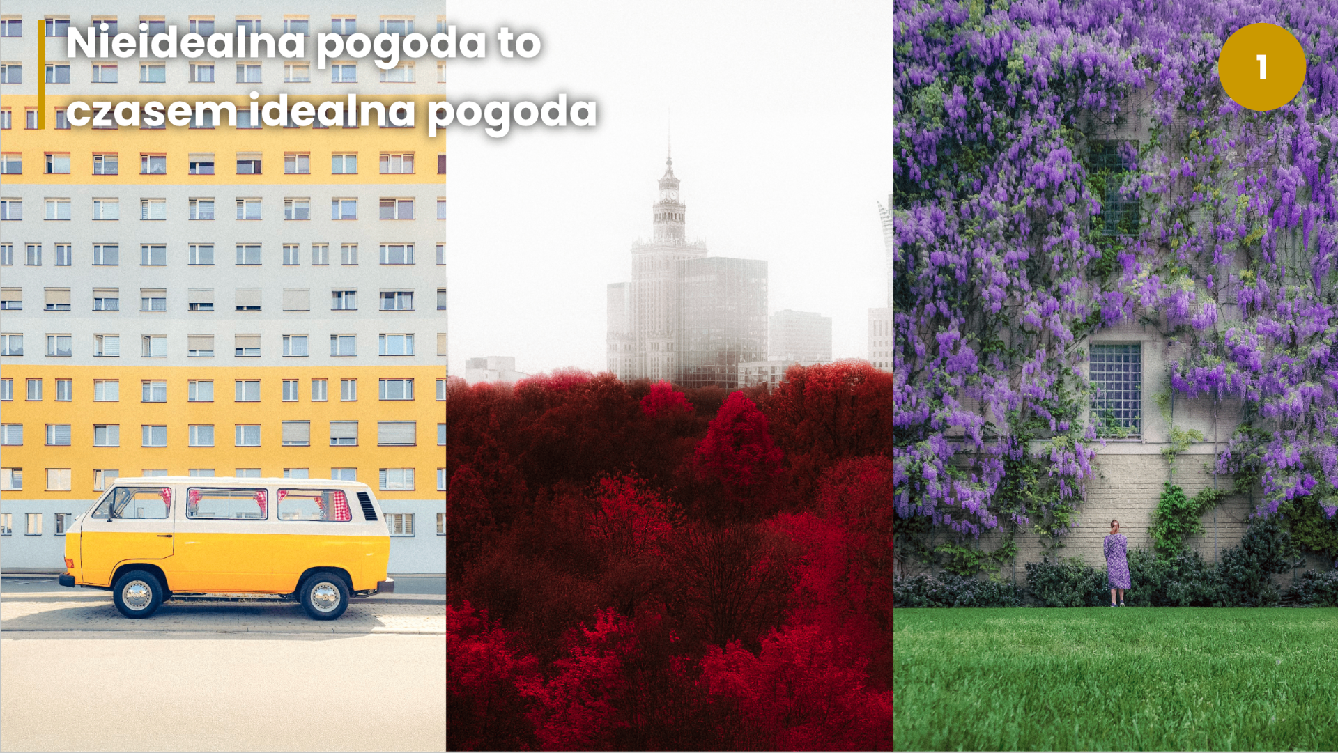 Trzy kadry pokazujące, jak różne warunki pogodowe i pora roku zmieniają charakter zdjęcia — żółty blok, mglista panorama Warszawy i ściana z kwitnącą glicynią
