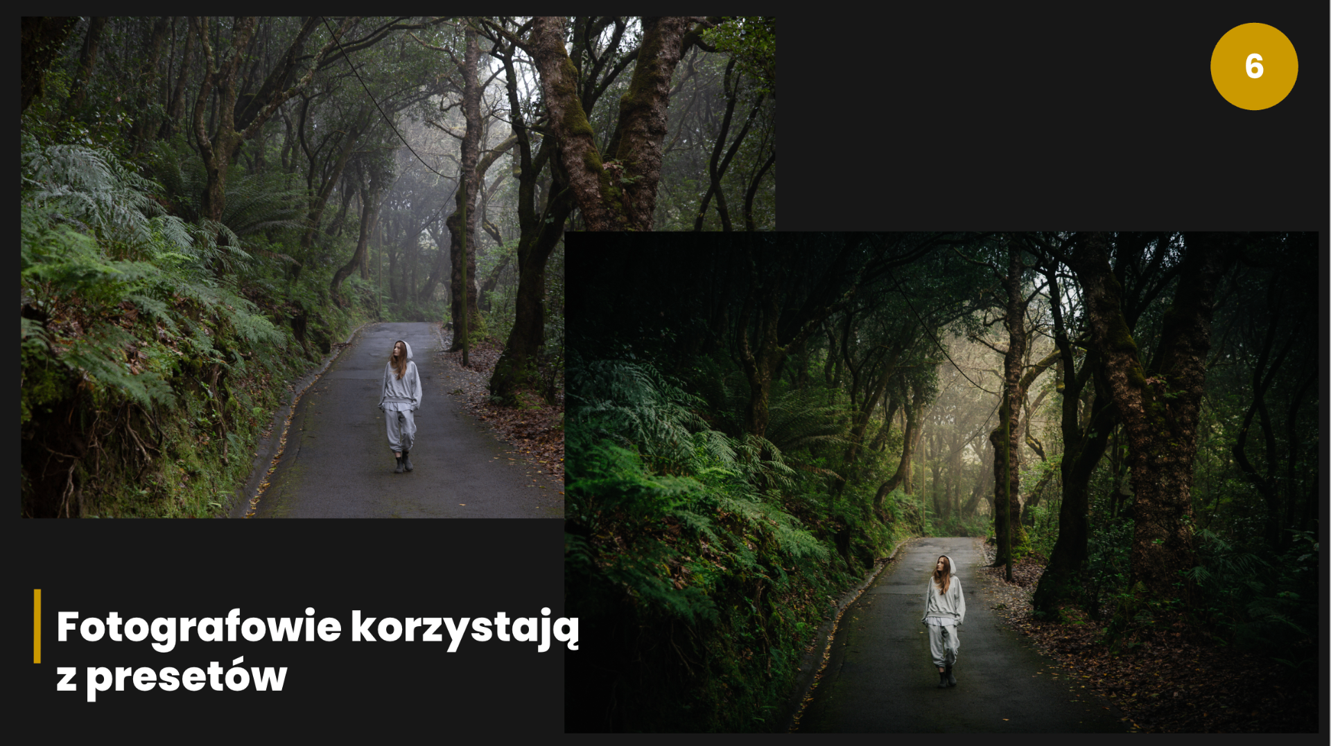 Porównanie zdjęcia leśnej drogi przed i po obróbce z użyciem presetu — przykład pracy fotografa z gotowymi ustawieniami w Lightroom